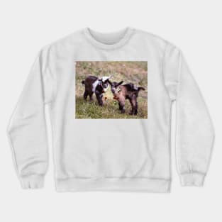 Festive Cute Baby Goats Crewneck Sweatshirt